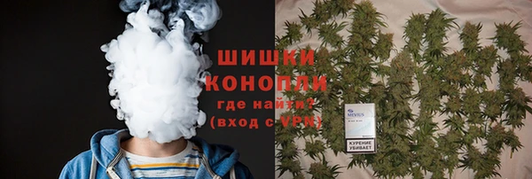 амф Новозыбков