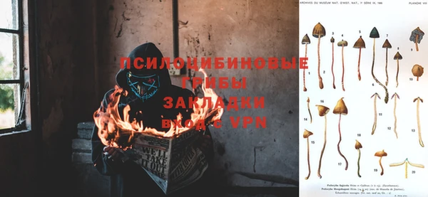 ГАЛЛЮЦИНОГЕННЫЕ ГРИБЫ Новокубанск