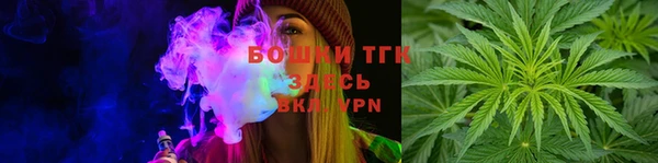 амф Новозыбков