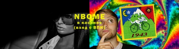 амф Новозыбков