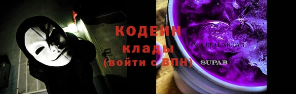 прущие грибы Нязепетровск