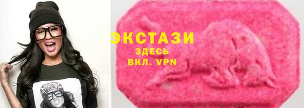 амф Новозыбков