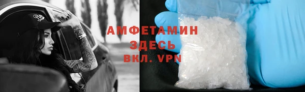 амф Новозыбков