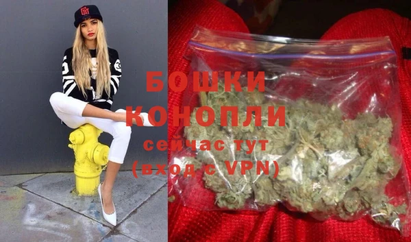 амф Новозыбков