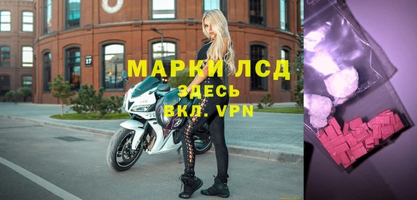 mdpv Новодвинск