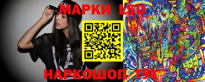 шишки Абакан