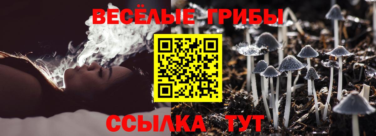 Советская Гавань  Галлюциногенные грибы прущие грибы  Псилоцибиновые грибы ЛСД  Вход с VPN 