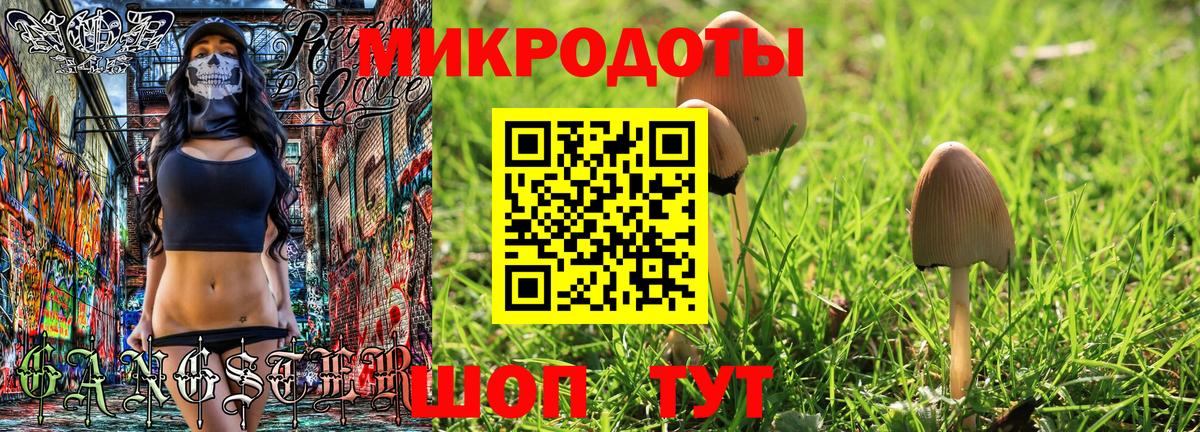 Псилоцибиновые грибы Psilocybine cubensis Советская Гавань