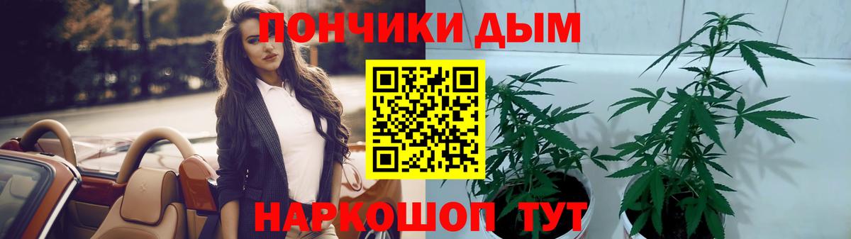 Каннабис VHQ  Бошки марихуана тримм  Советская Гавань  МАРИХУАНА ГИДРОПОН 